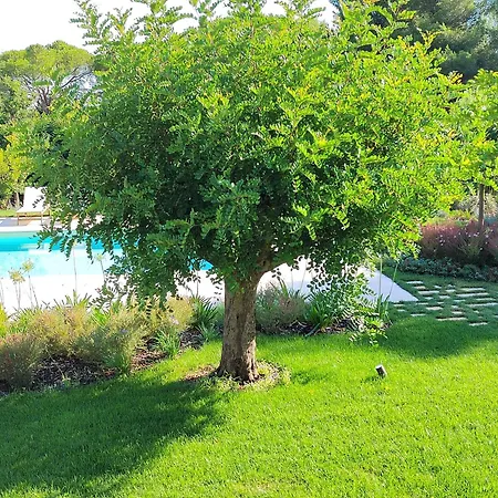 Villa Wepuglia - Dimora Montaltino *